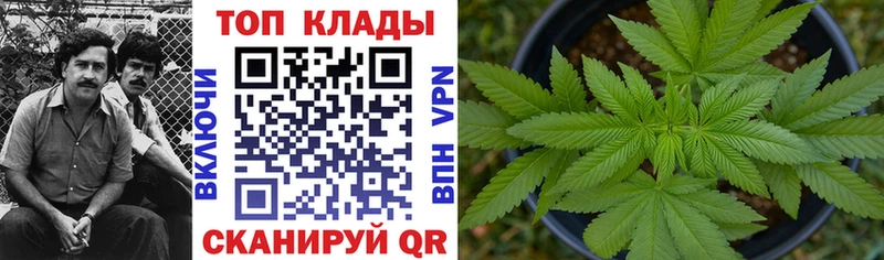 Альфа ПВП Урюпинск