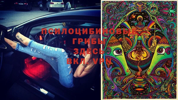 тгк Аркадак