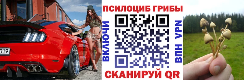 Псилоцибиновые грибы мухоморы  Урюпинск 